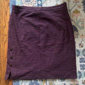Elegant Eggplant Women's Skirt